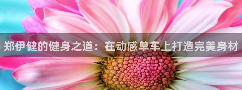 凯捷体育平台