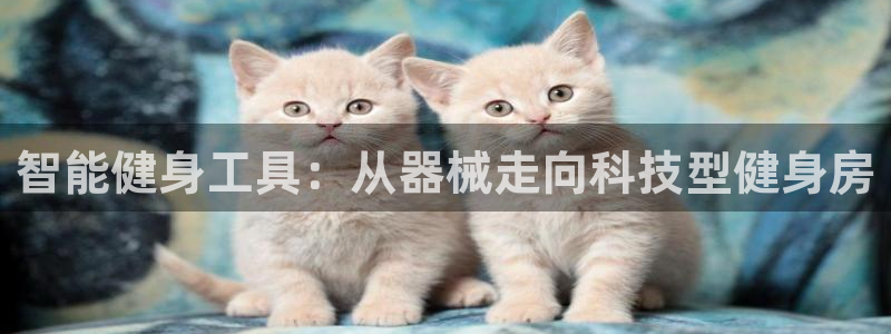 凯捷体育平台